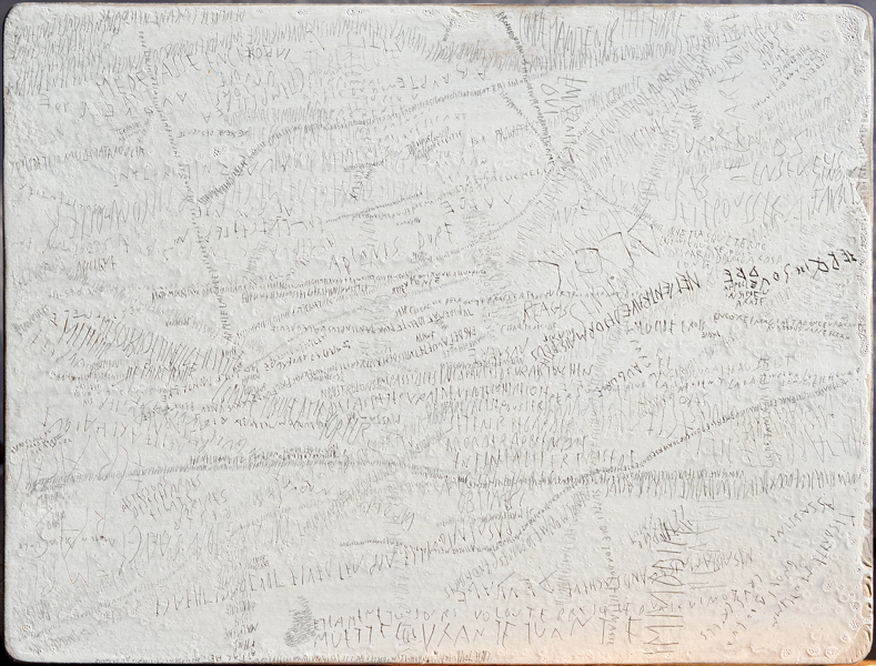 Garde ta vie rude - dessin - graphite sur caséine sur panneau de bois - Emmanuel Aragon - 2014