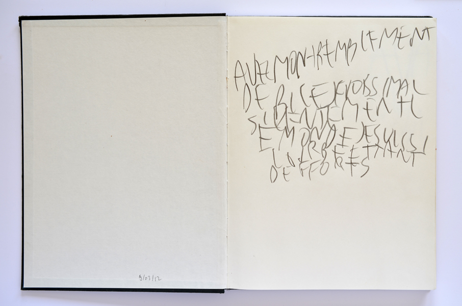 Emmanuel ARAGON, carnet, graphite sur papier, 2012