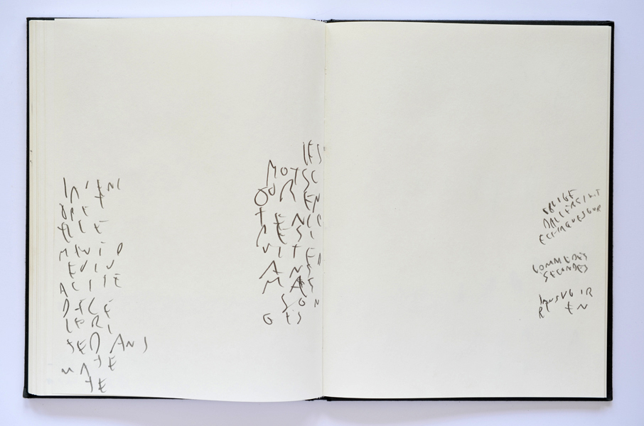 Emmanuel Aragon, graphite sur papier, carnet, 2012/in progress