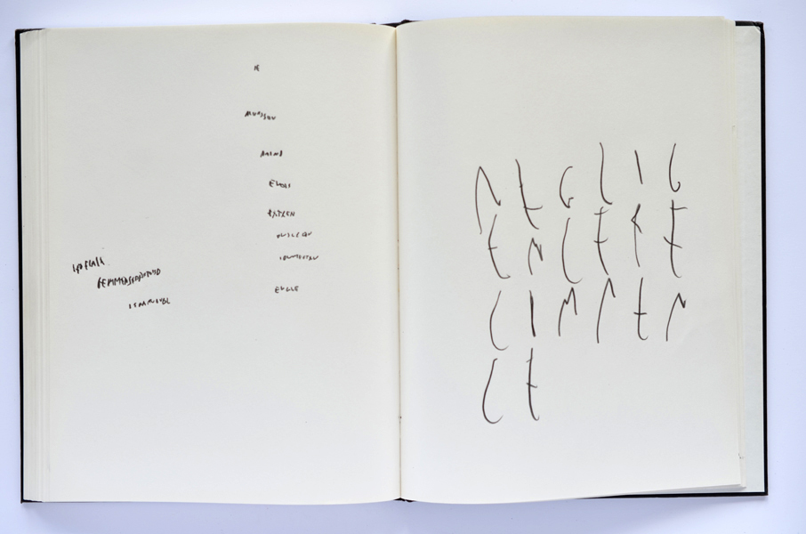 Carnet, Emmanuel ARAGOn, 2012 / in progress, graphite sur papier